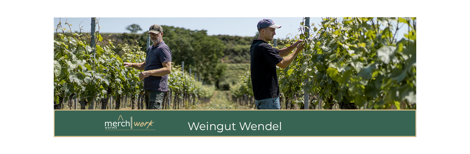 Weingut Wendel