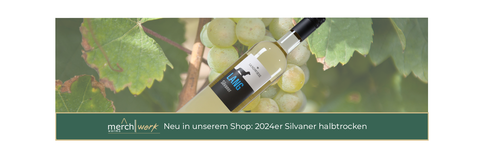 Jetzt neu in unserem Shop: 2024er Silvaner halbtrocken