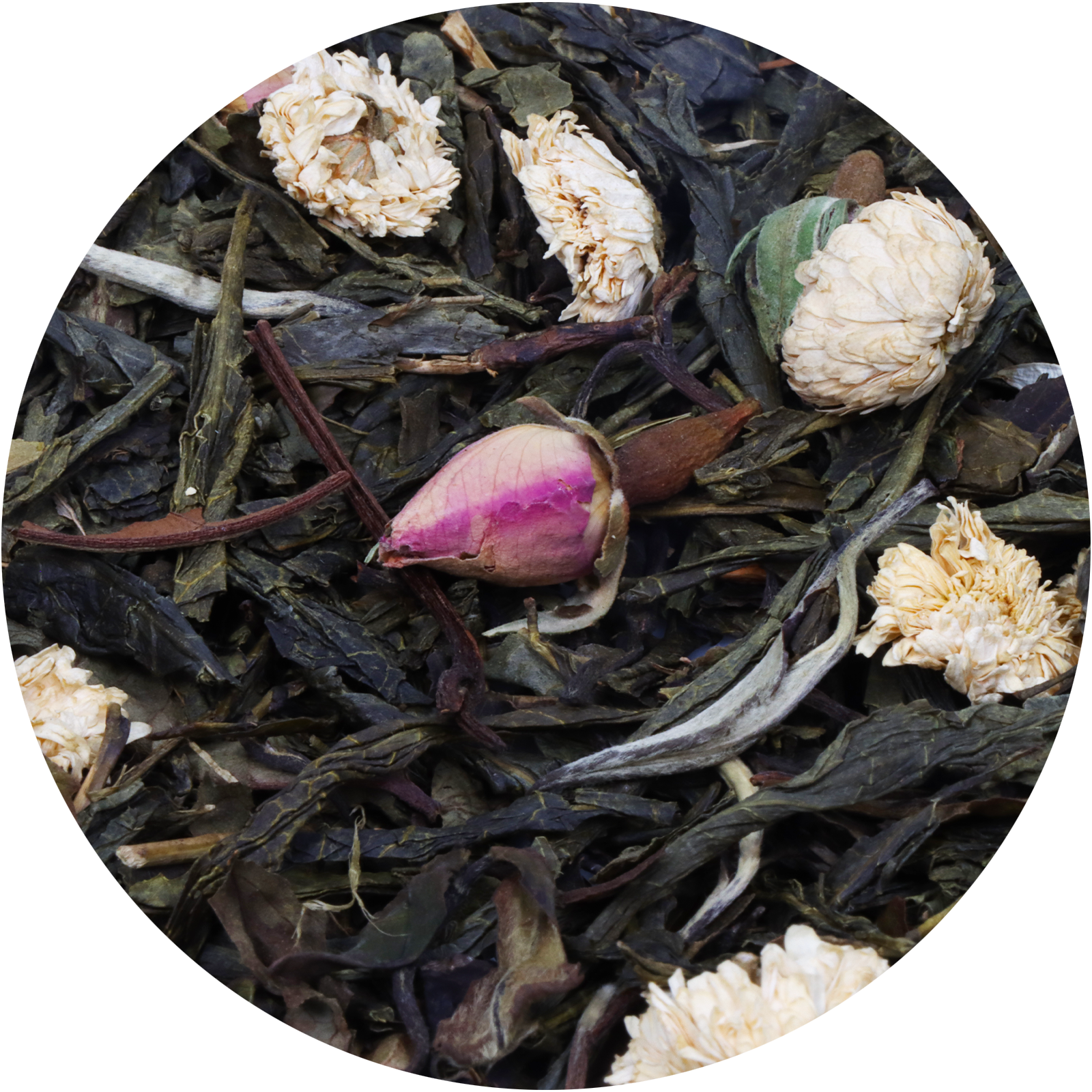 Detailbild von Luthers Rose